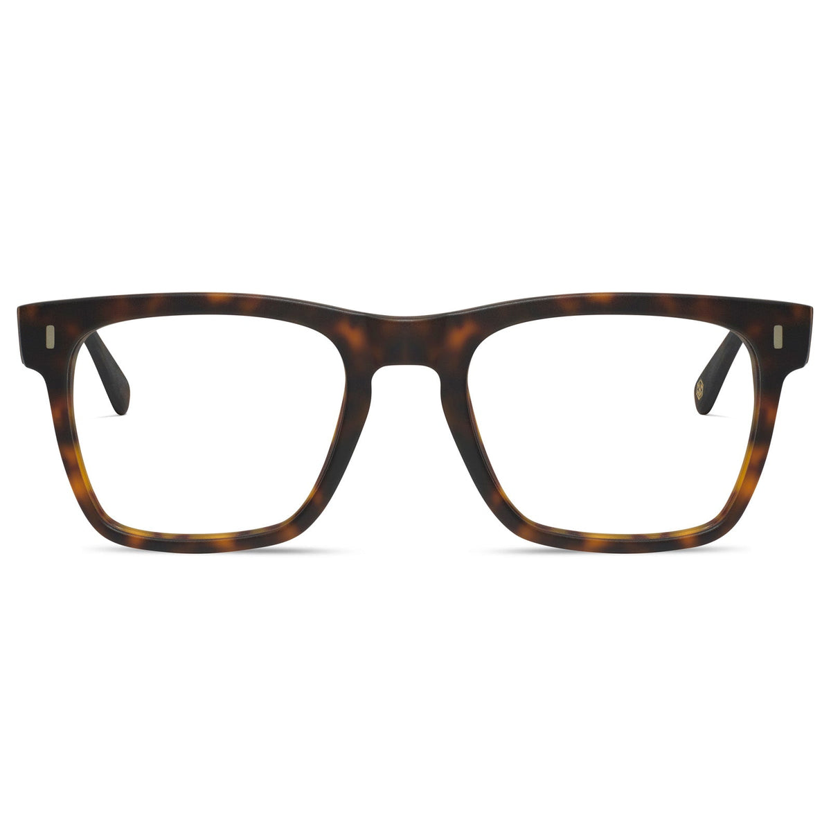 Jackson - Cubo Eyewear