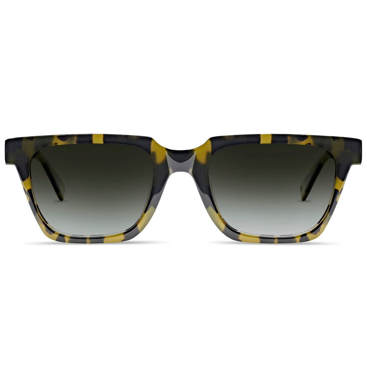 Taylor Sun - Cubo Eyewear
