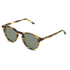 Miles Regular Sun - Cubo Eyewear