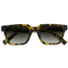 Taylor Sun - Cubo Eyewear