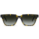 Taylor Sun - Cubo Eyewear