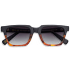 Taylor Sun - Cubo Eyewear