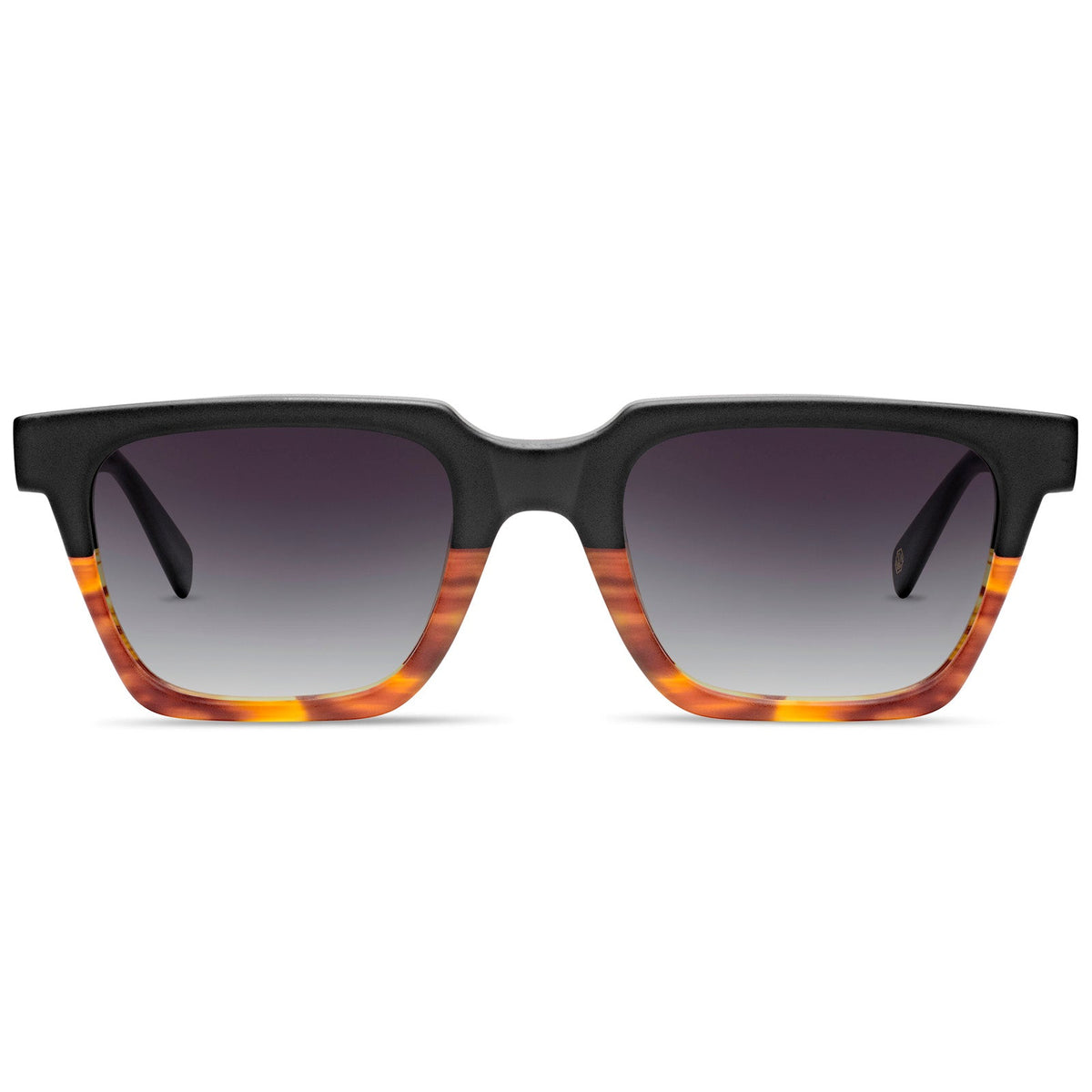 Taylor Sun - Cubo Eyewear